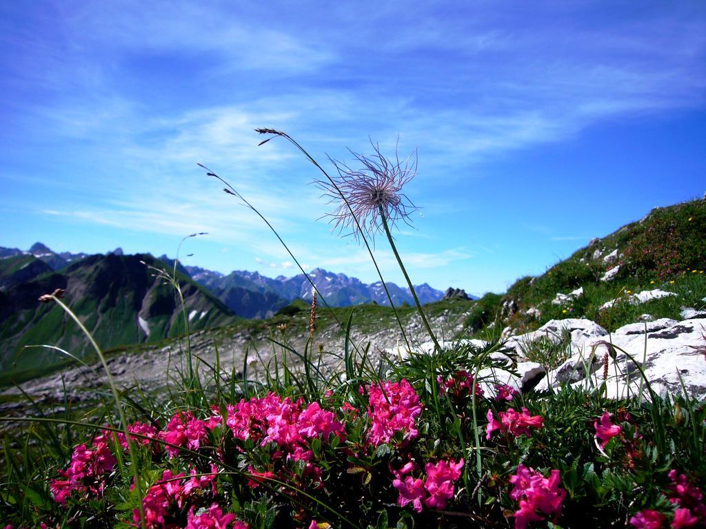 Appartamento Alpenflair Whg 201 