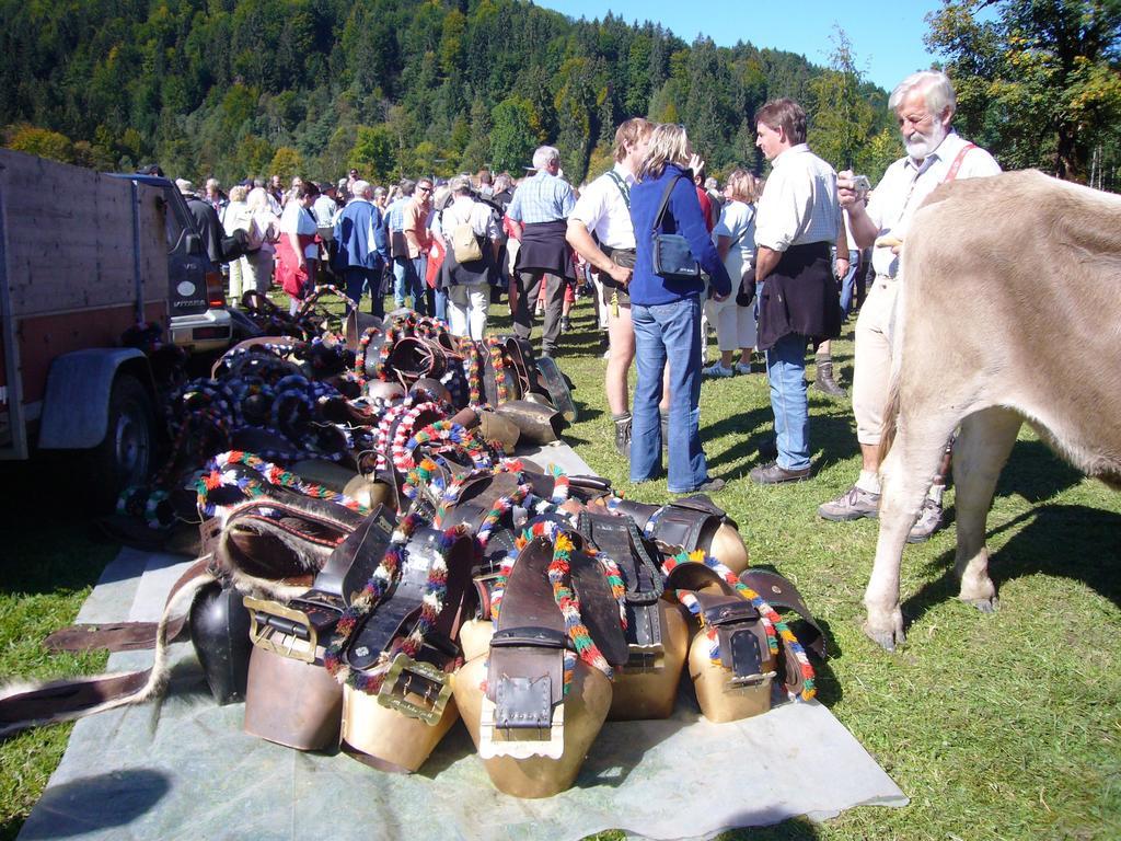 Appartamento Alpenflair Whg 201 
