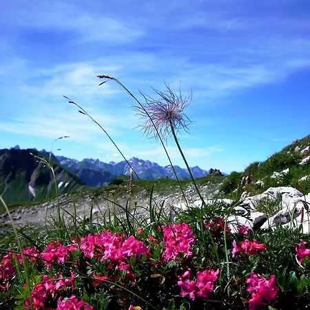 Alpenflair Ferienwohnungen Whg 201 